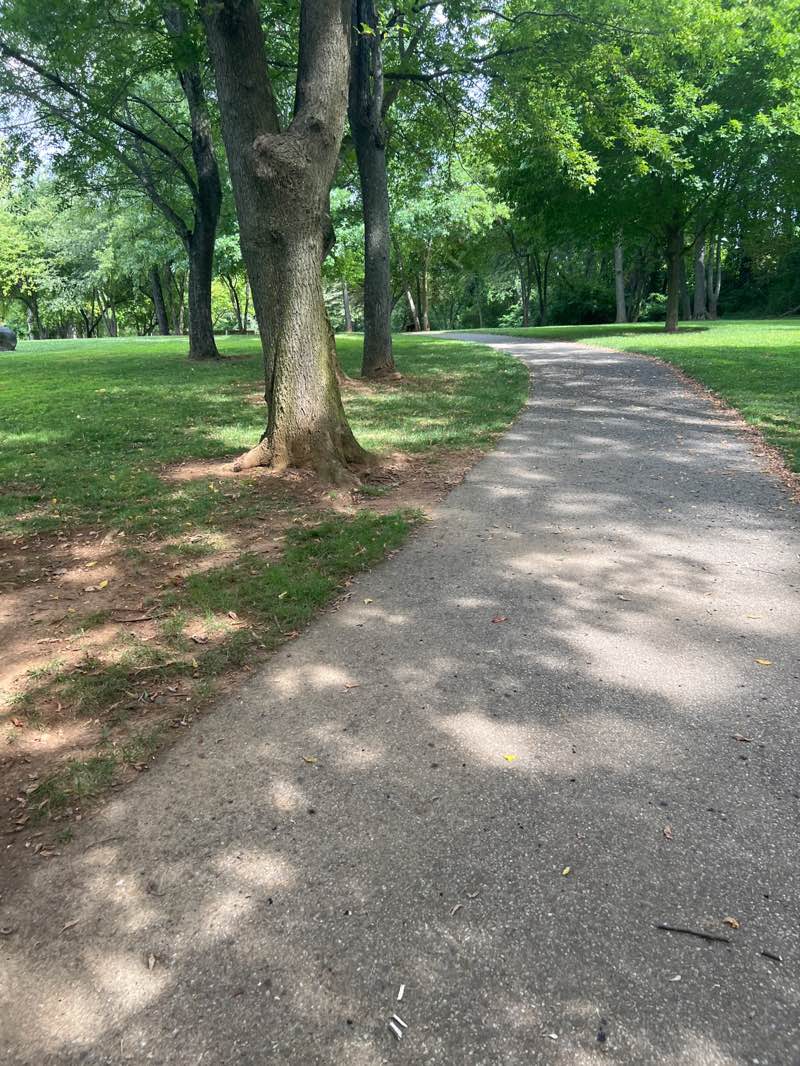 walking near me in Sleighton Park in summer