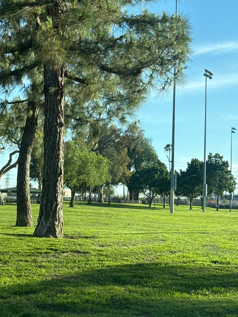 walking near me in Rio San Gabriel Park in winter