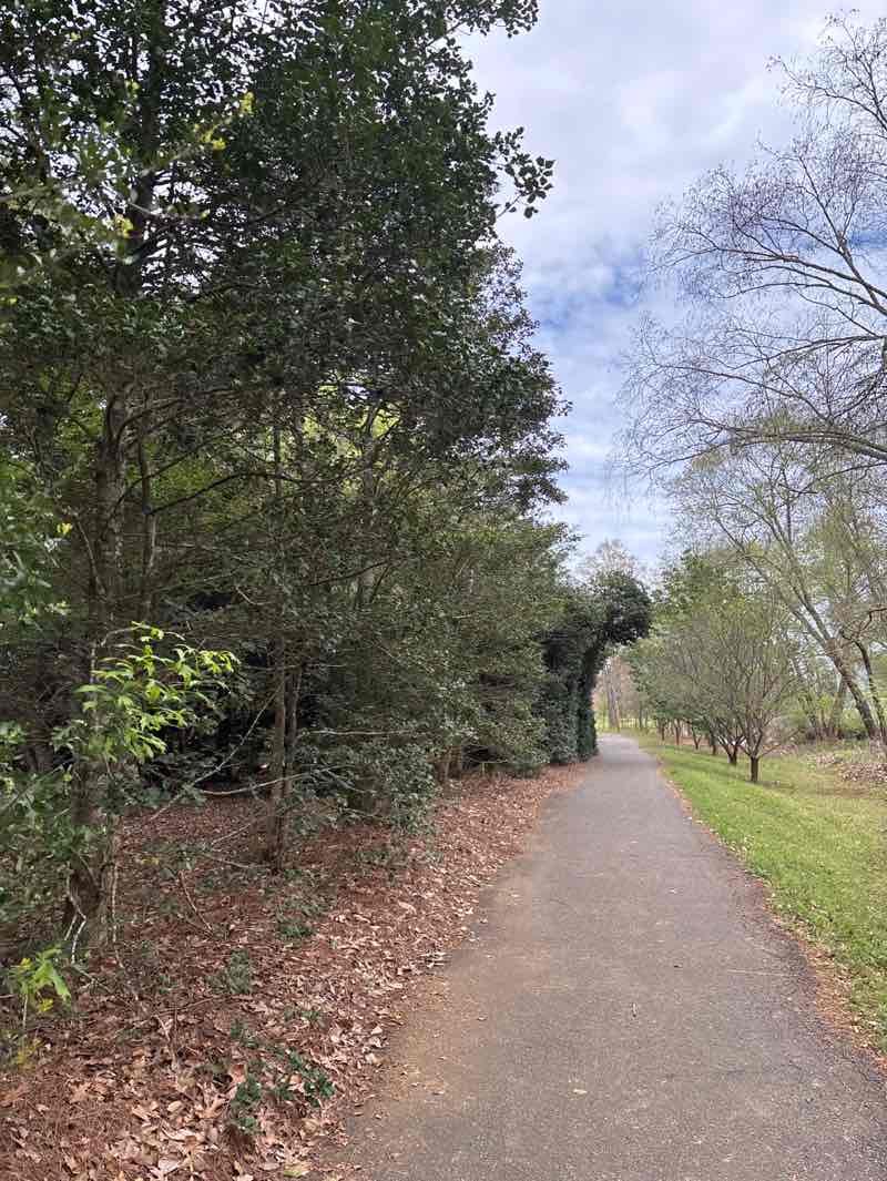 walking near me in SFA Mast Arboretum in spring