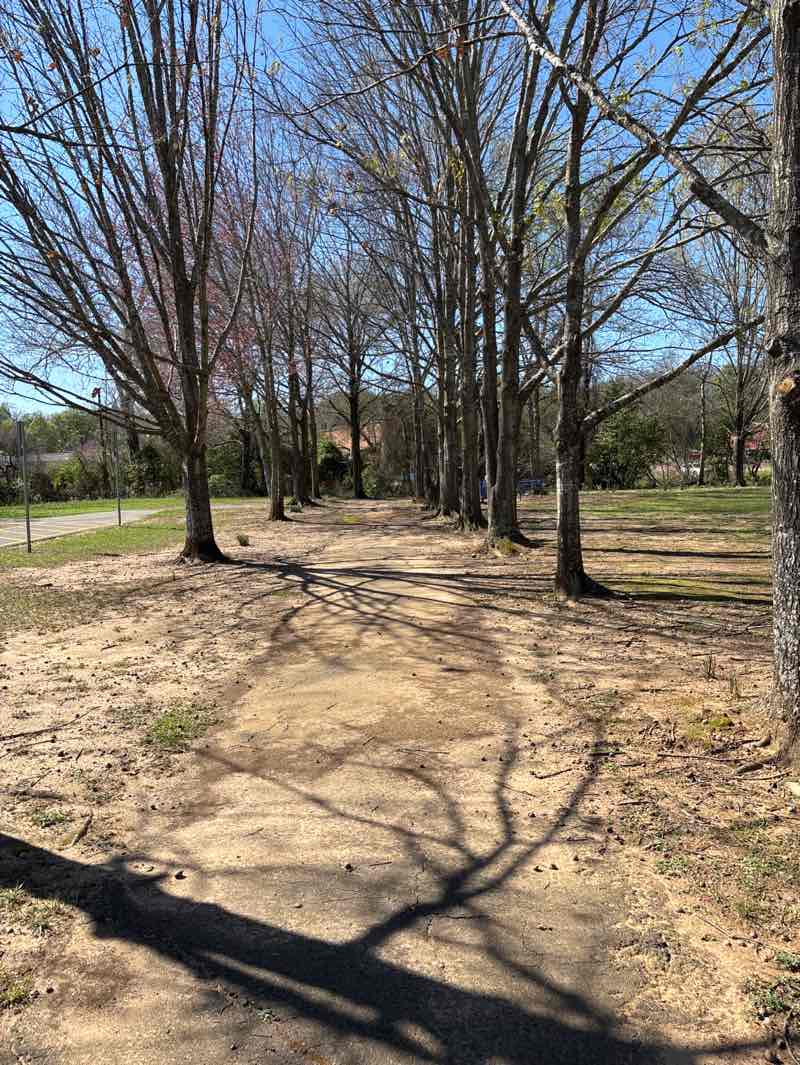 walking near me in Banita Creek Park in spring