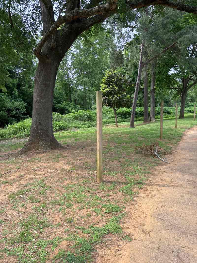 walking near me in Hoya Park in spring