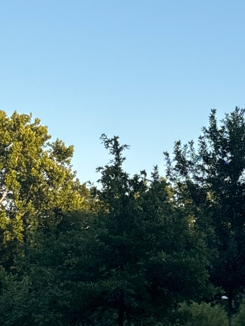 walking near me in Hoya Park in summer
