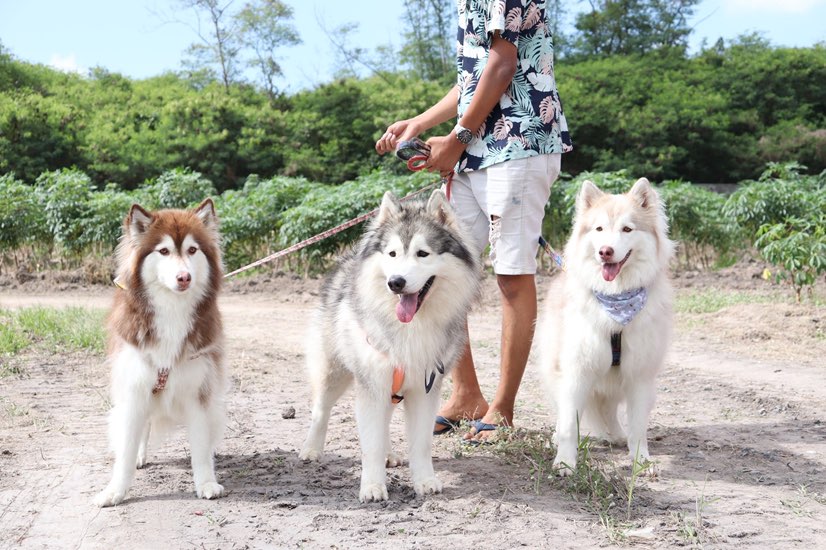 Phakkamett (โอ๋) icon