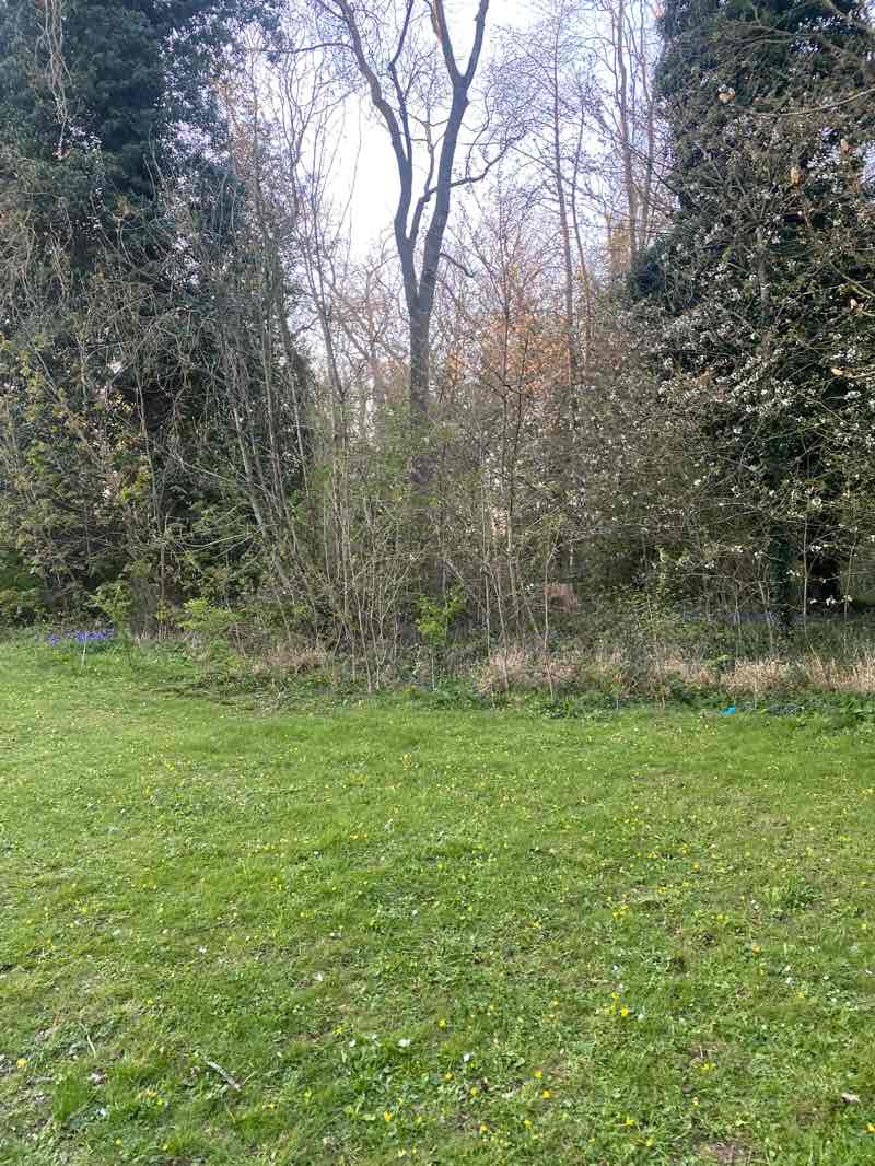 walking near me in St Crispin Park in spring