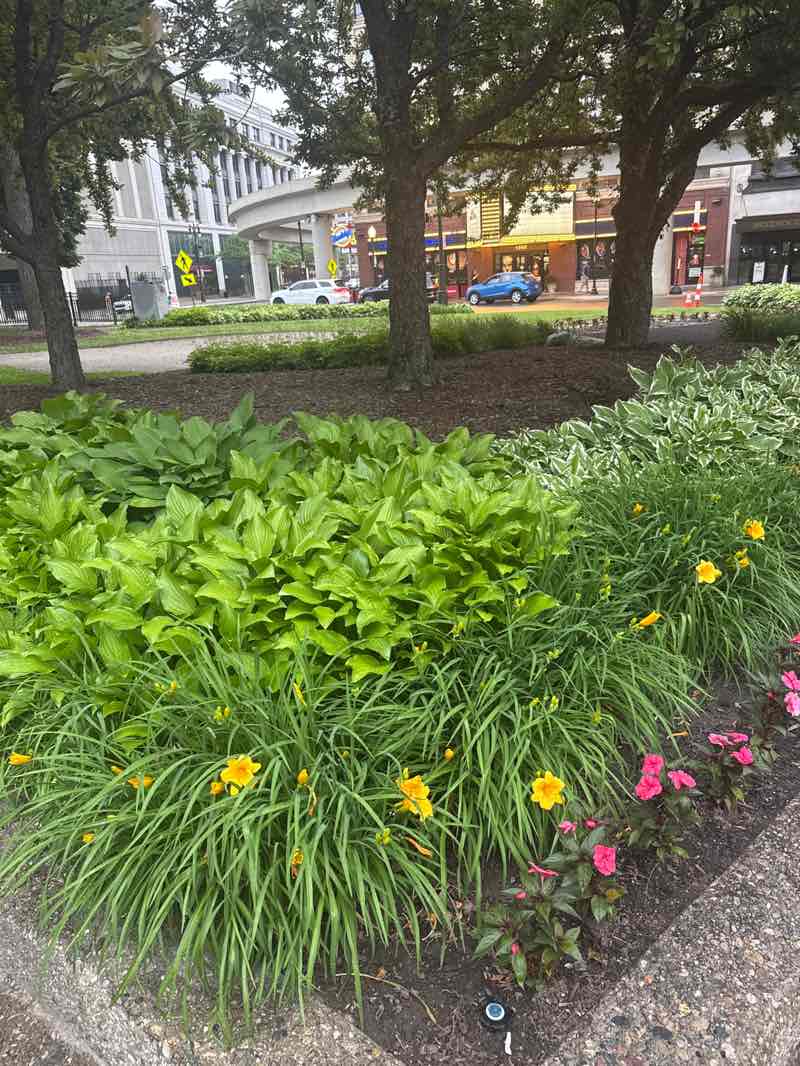 walking near me in Grand Circus Park in summer