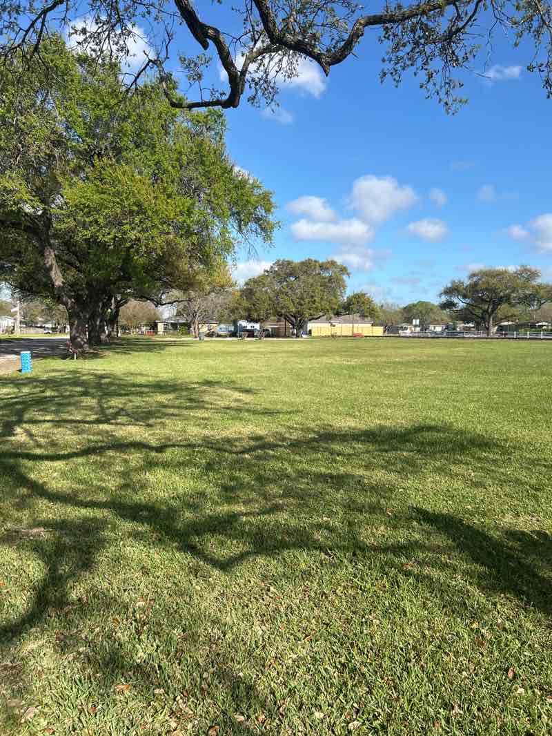 walking near me in Noble Park in spring