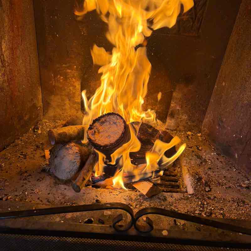 MEIDS Step Challenge Francesca Penso post image