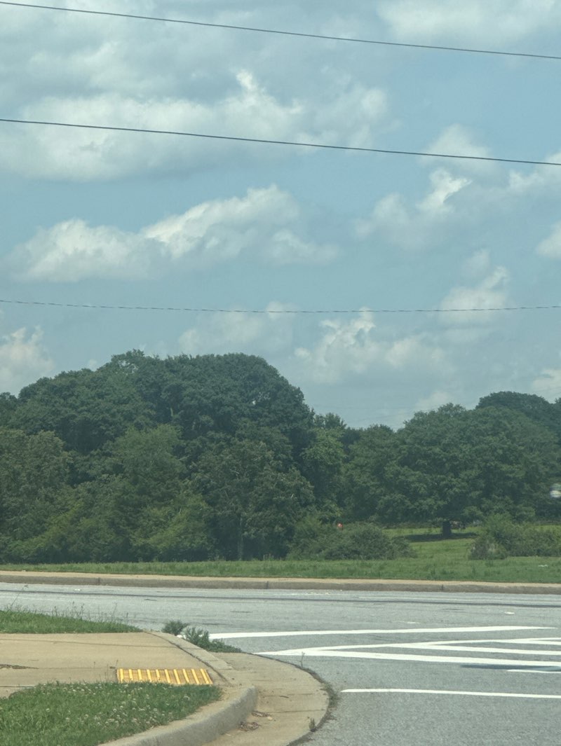 walking near me in Mauldin City Park in summer