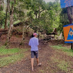 Temy Febriandri profile