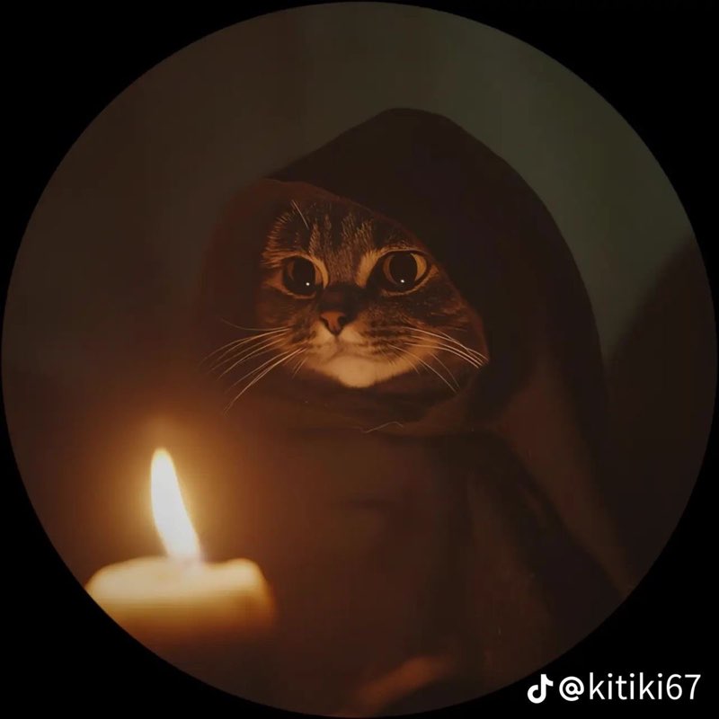 Максим Шамрай icon