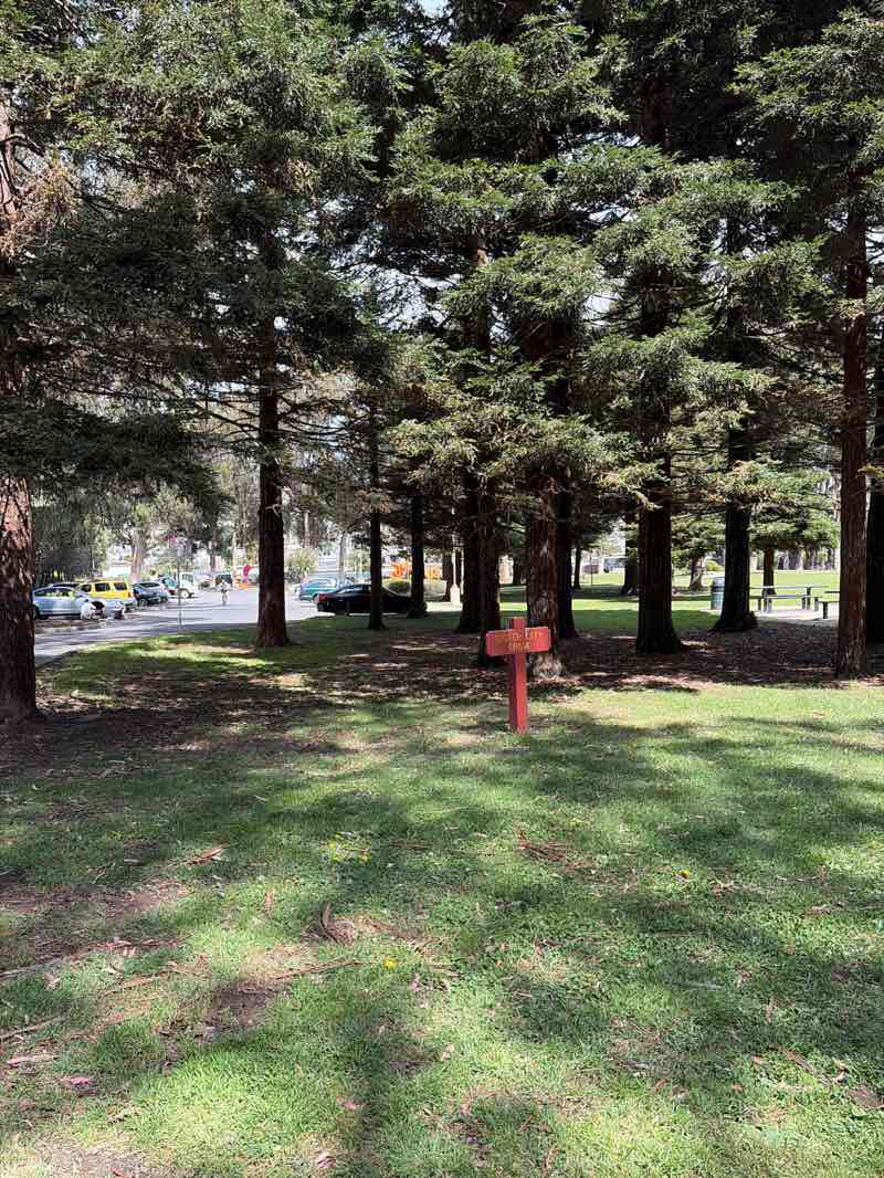 walking near me in Orange Memorial Park in spring