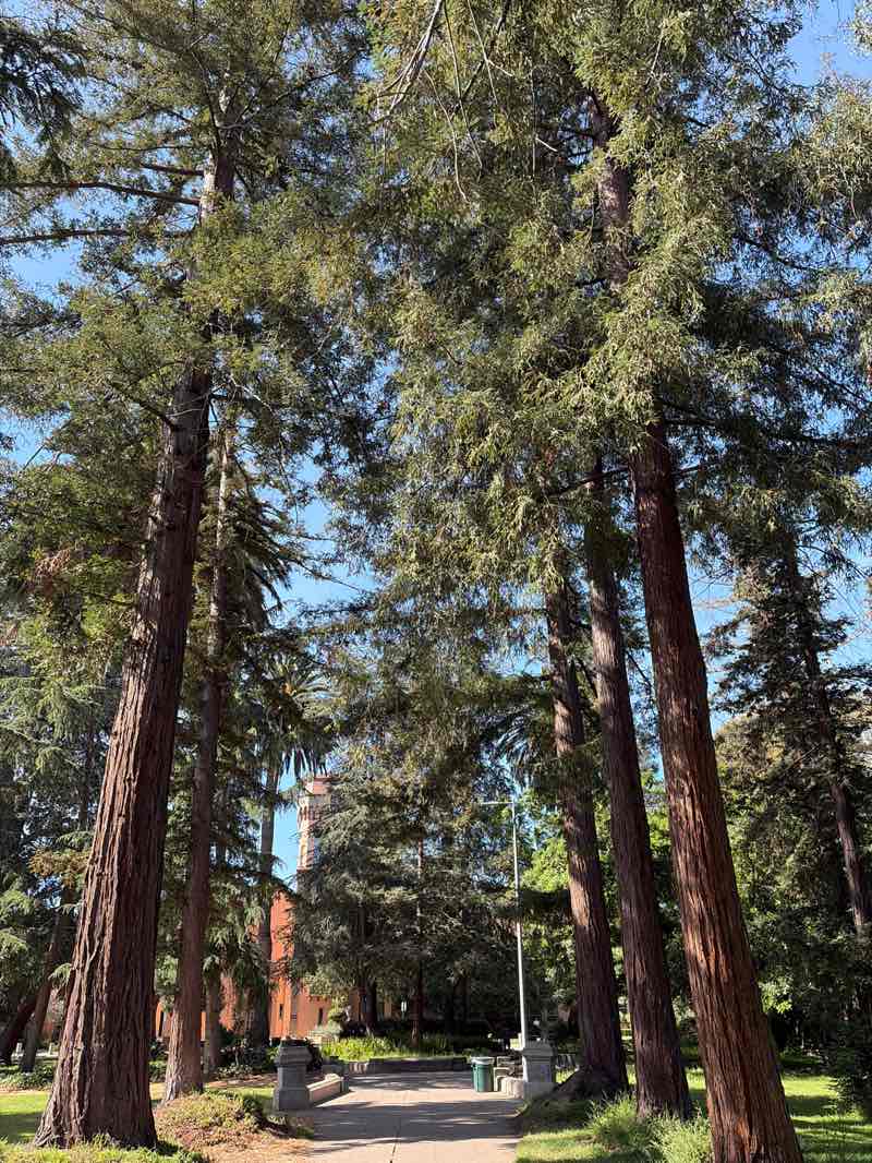 walking near me in Veterans Memorial Park in spring