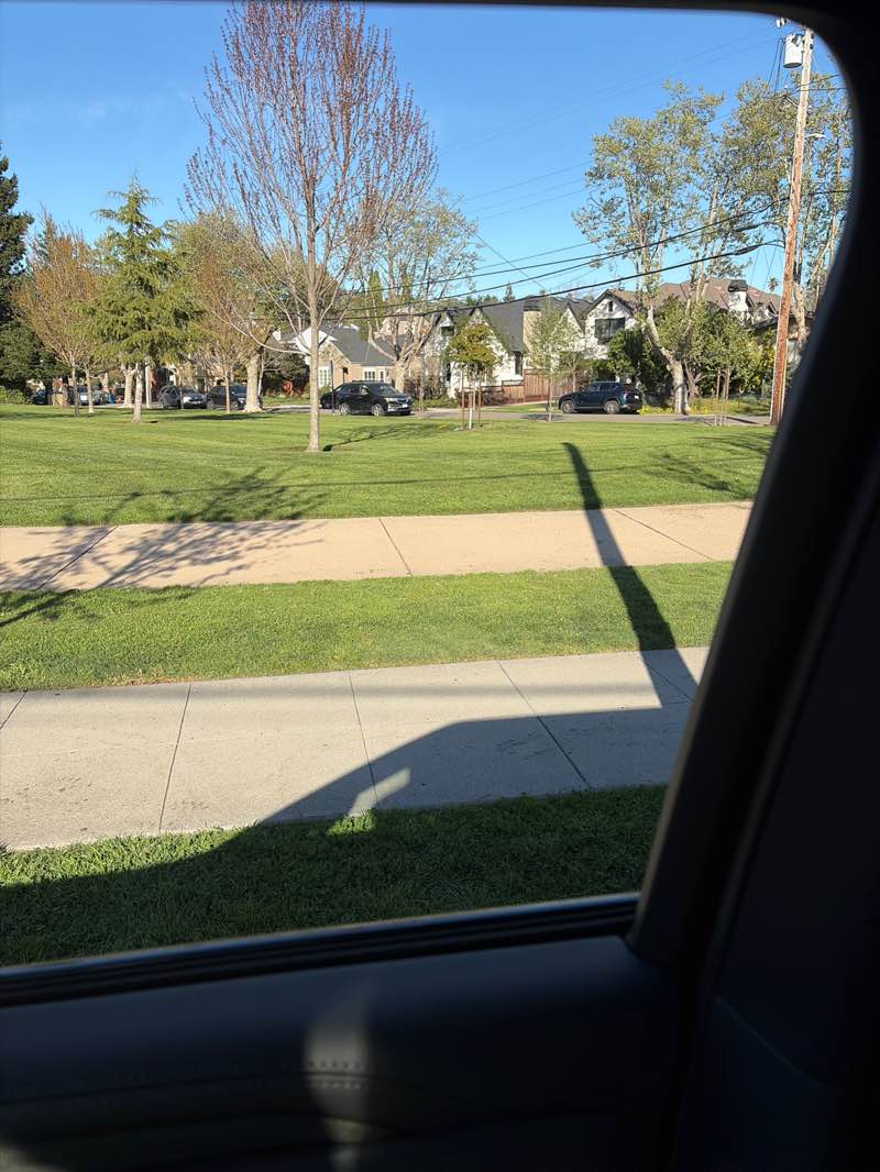 walking near me in Pershing Park in spring