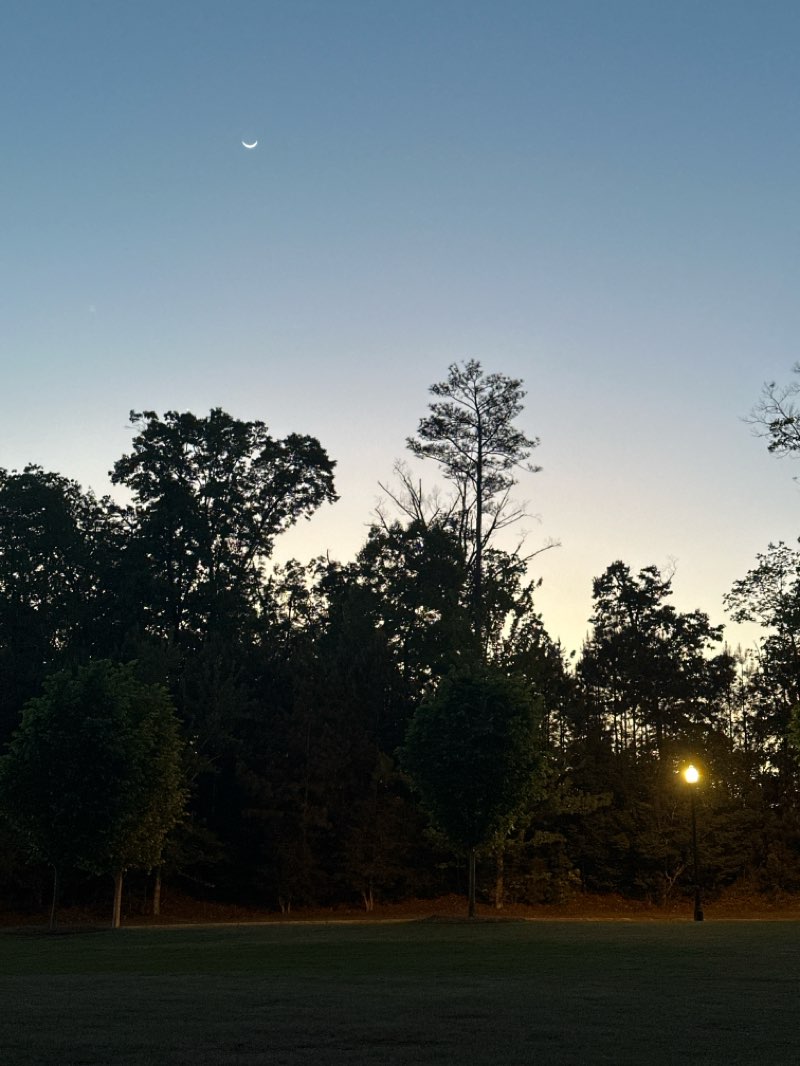 walking near me in Encore Park in spring