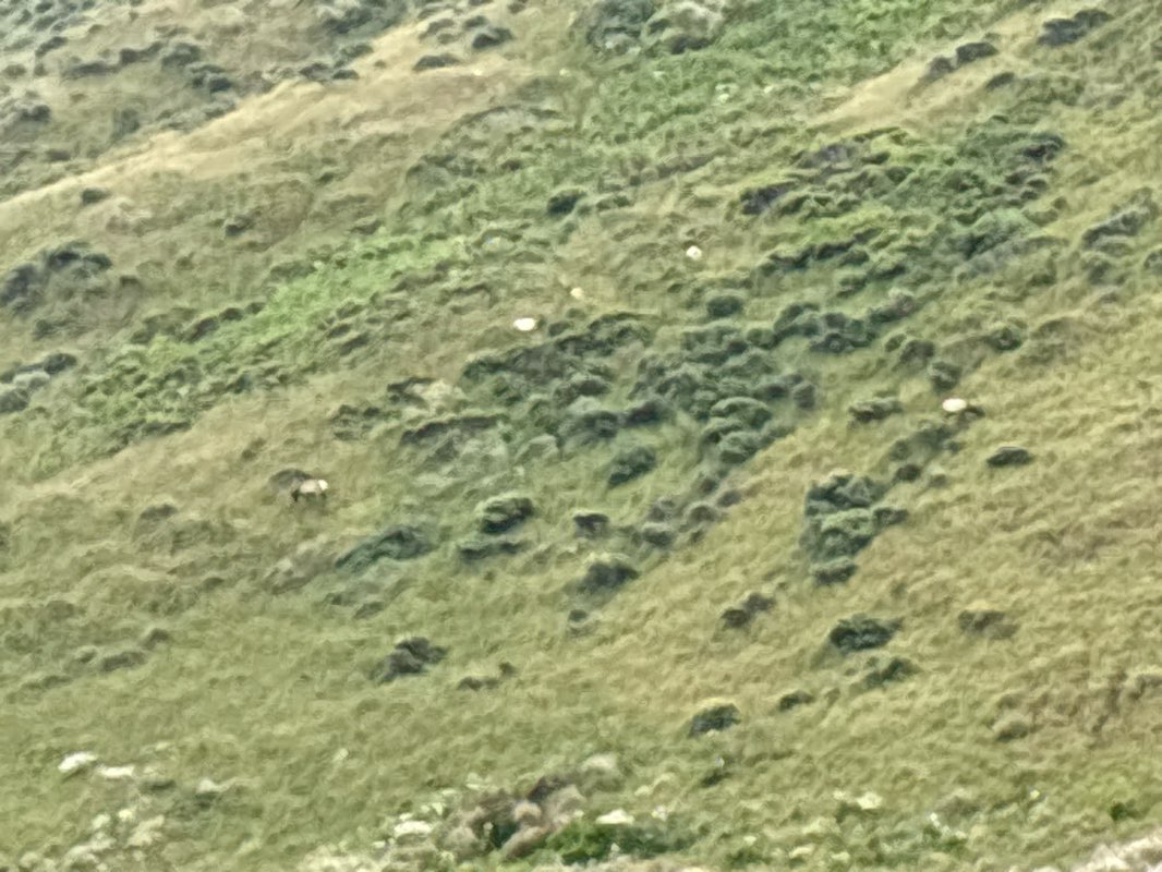 walking near me in Tomales Bay State Park in summer