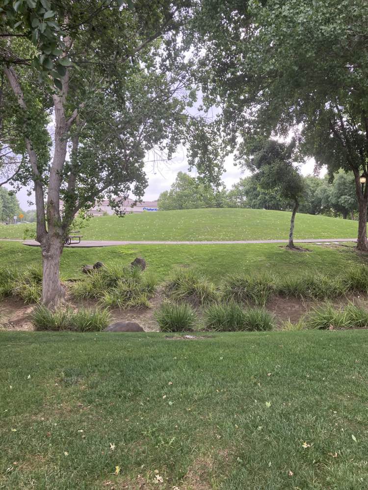 walking near me in Bethany Park in spring