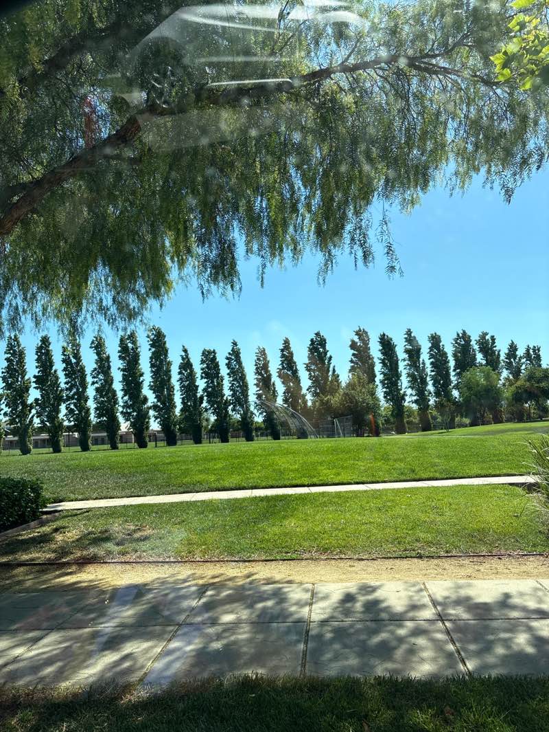 walking near me in Questa Park in summer