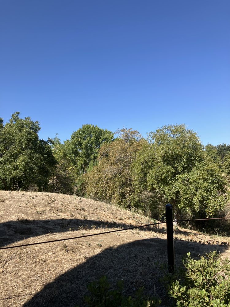 walking near me in Mountain House Creek Recreation Area in summer