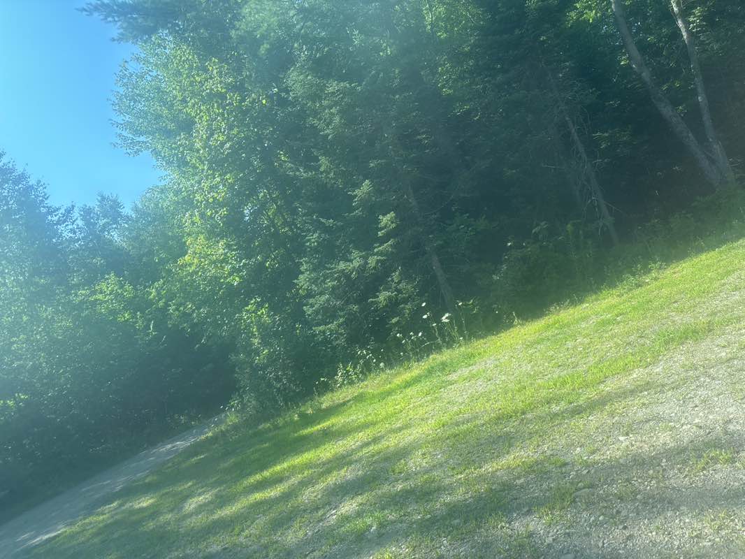 walking near me in Thurston Park in summer