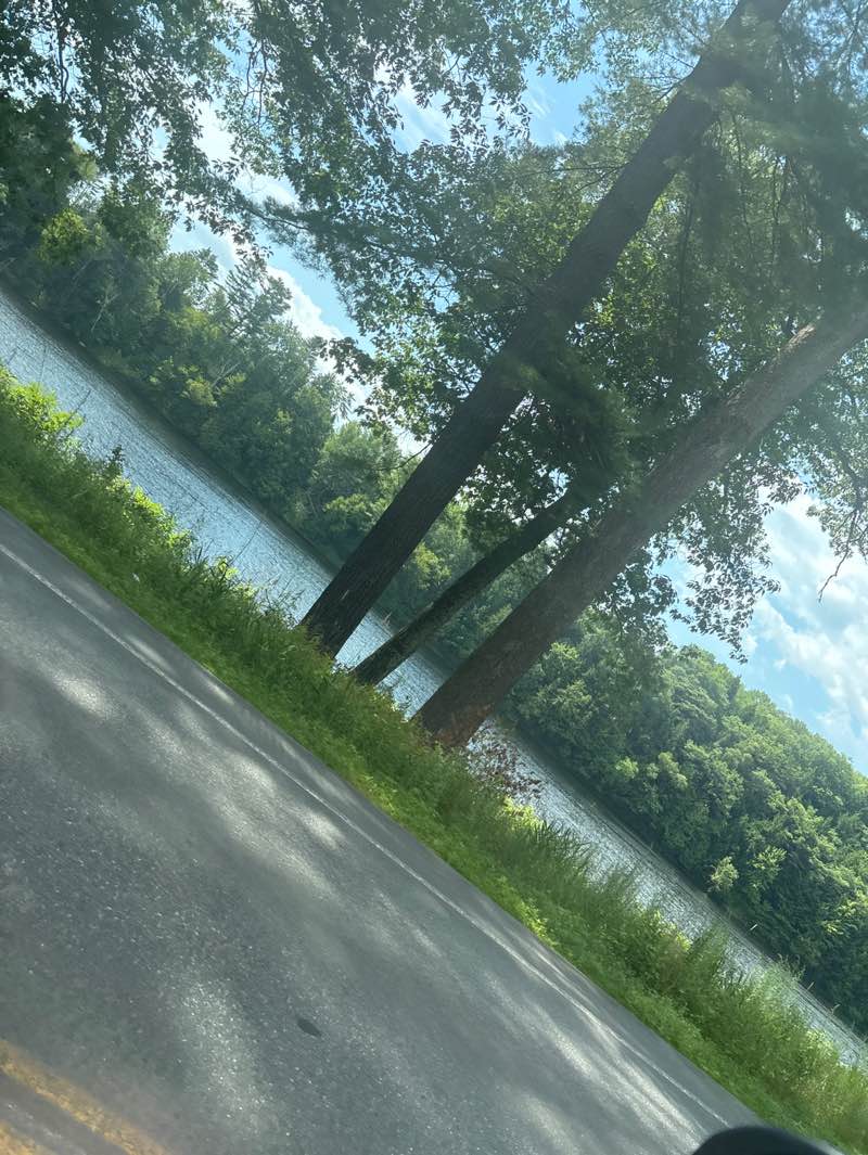 walking near me in Cleaver Landing in summer