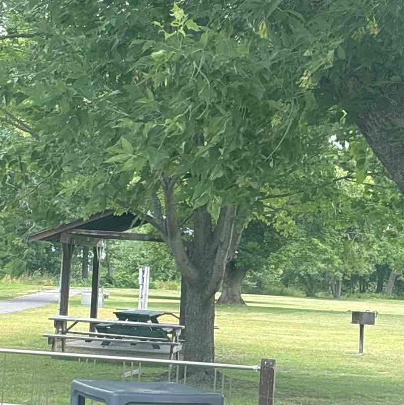 prestonroy309 post 1