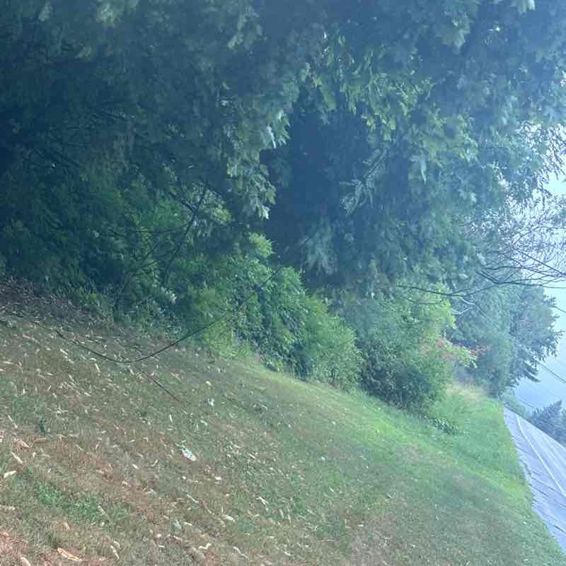 prestonroy309 post 1
