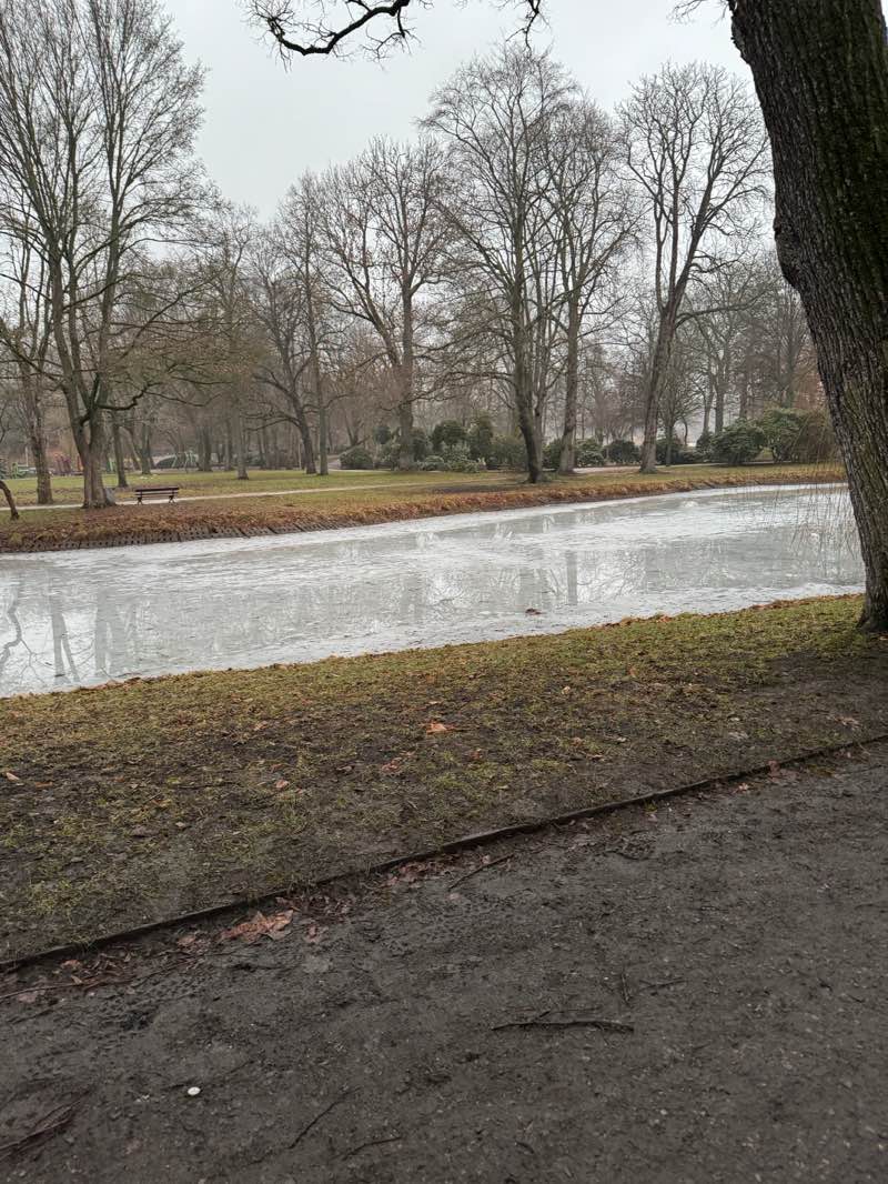 walking near me in Schloßteichpark in winter