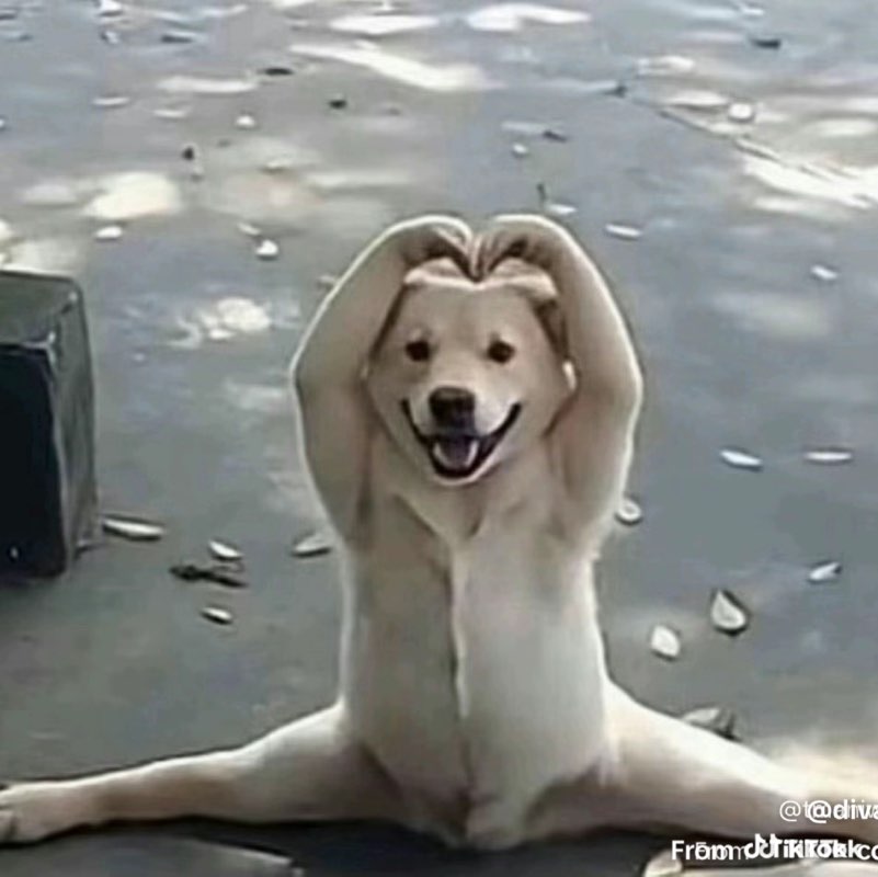 Let's Walk Nashville Jennifer post image