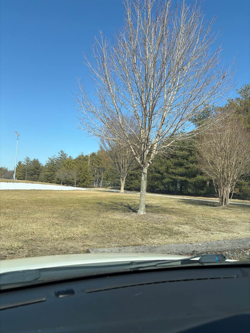 walking near me in Schutte Park in spring