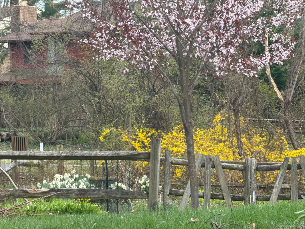 walking near me in Long Reach 1 Park in spring