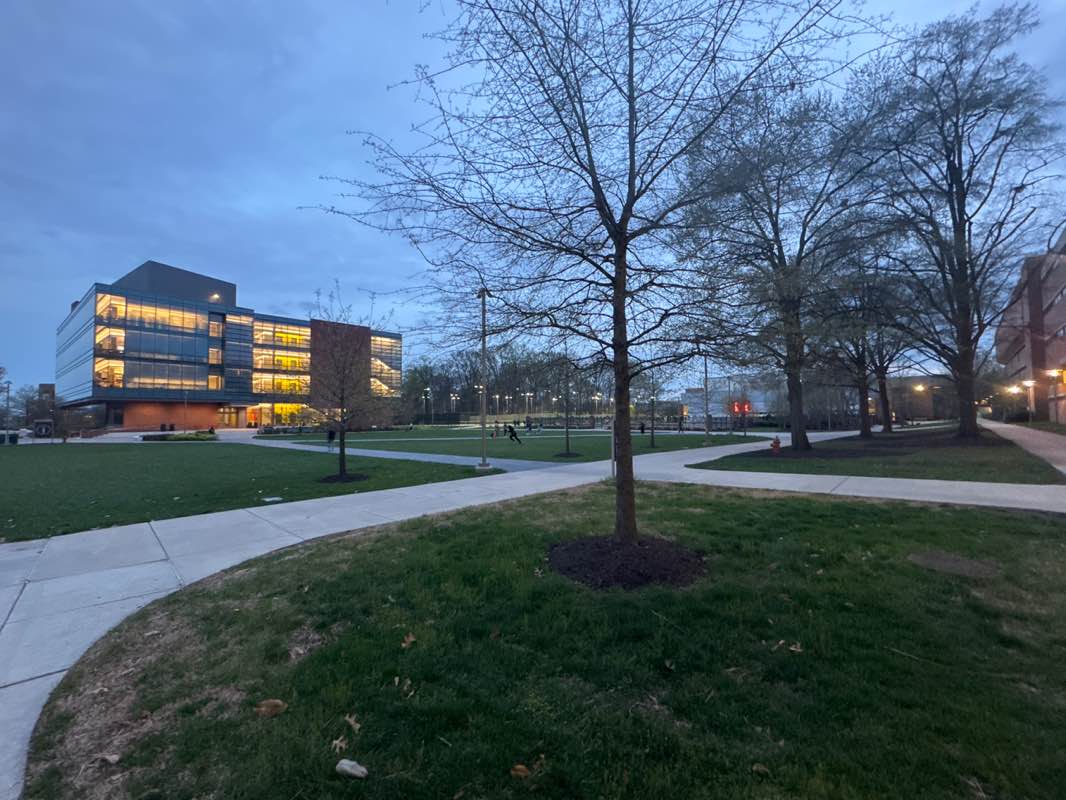 walking near me in The Quad in spring