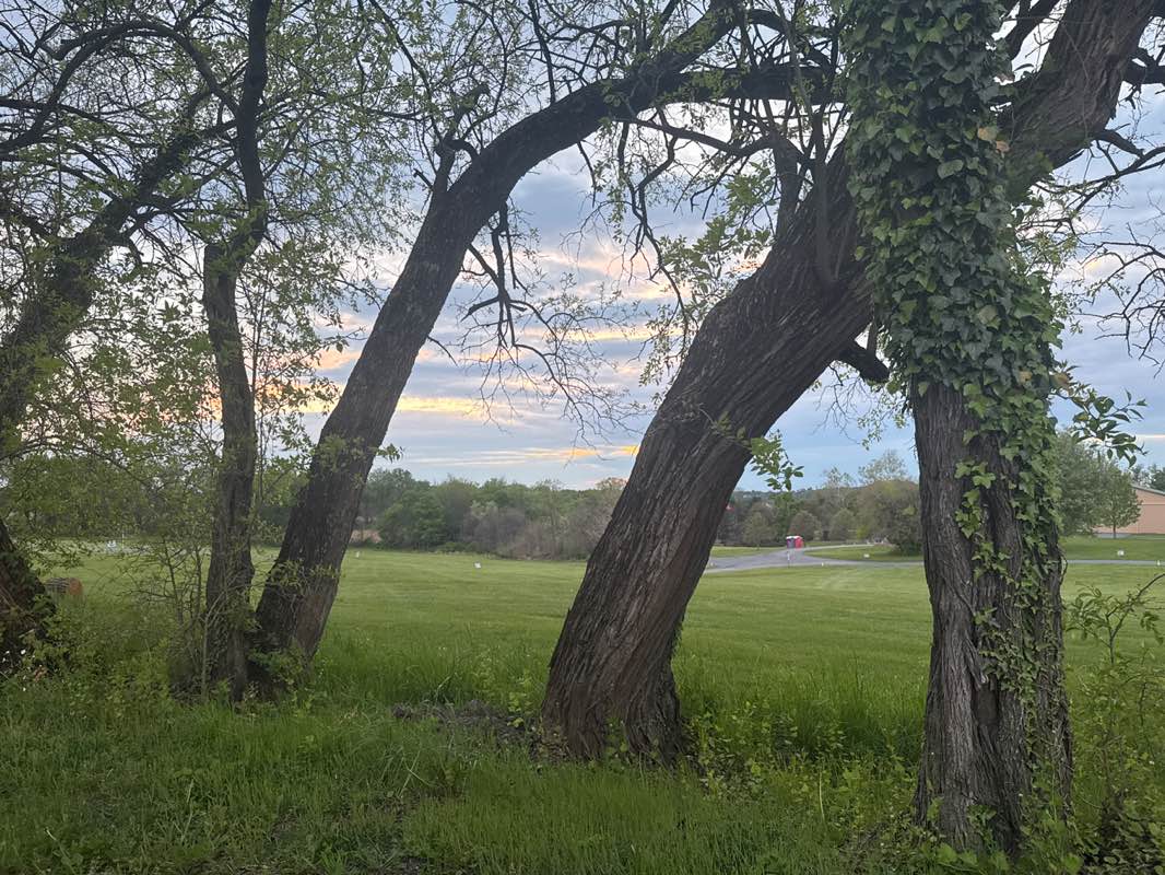walking near me in West Friendship Park in spring