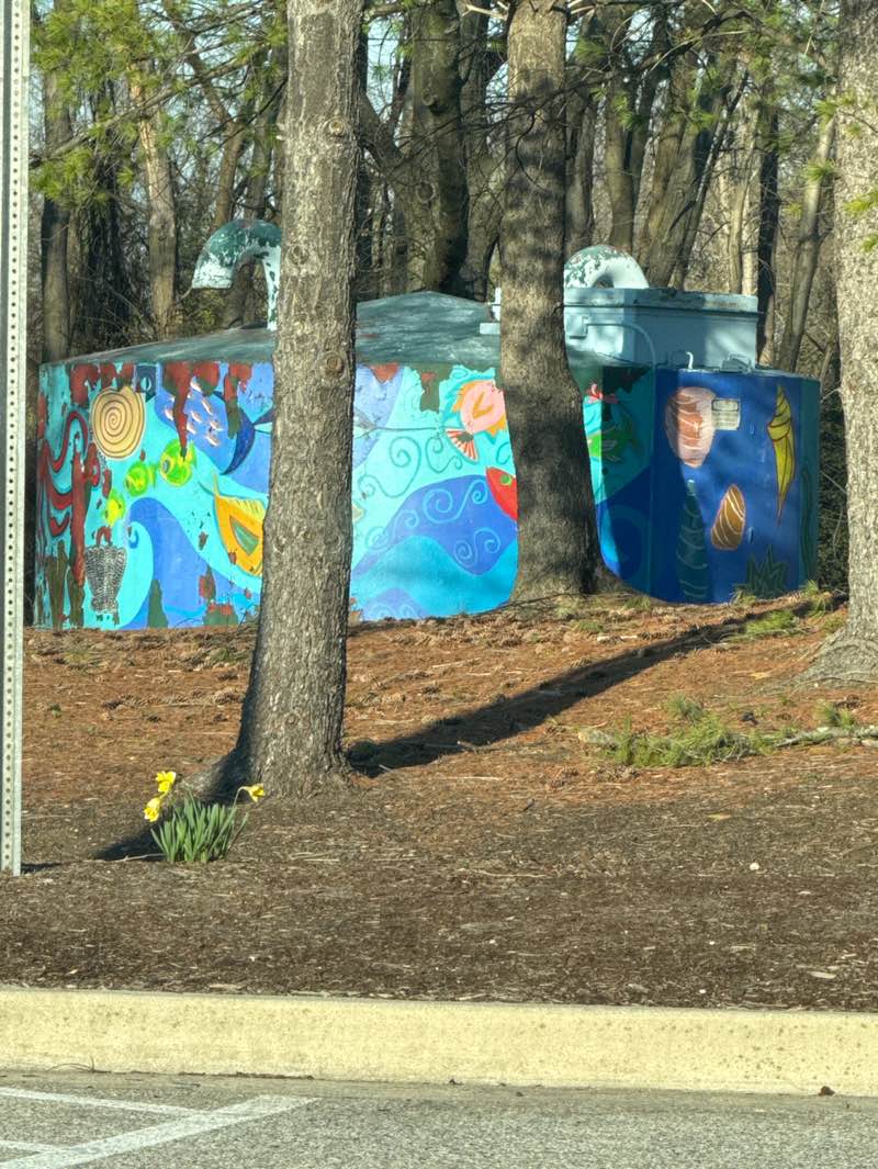walking near me in Allentown Road Recreation Center in spring