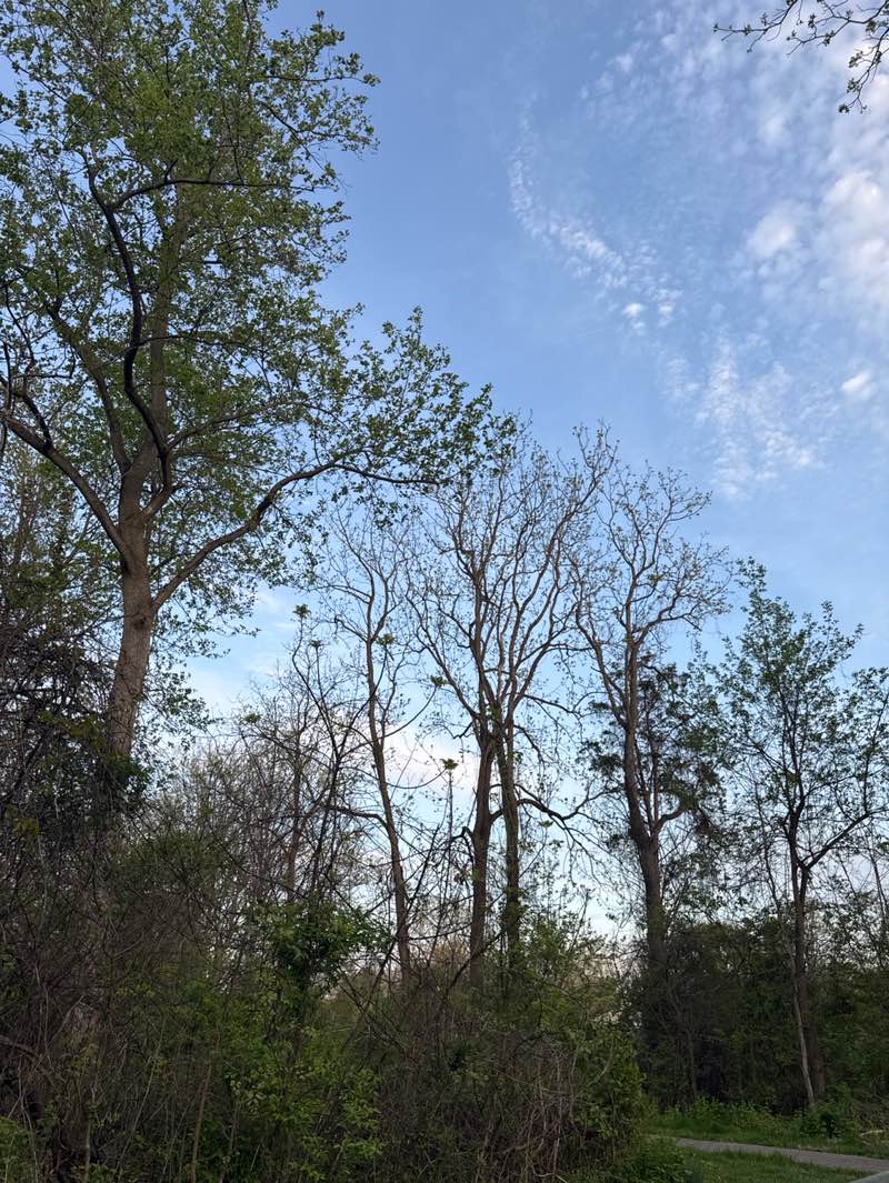 walking near me in Columbia SportsPark and SkatePark in spring