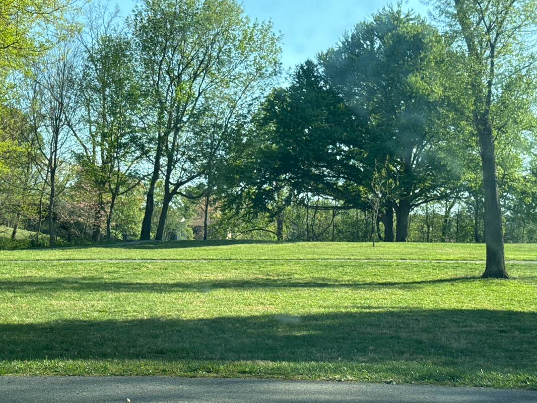walking near me in Wilde Lake Park in spring