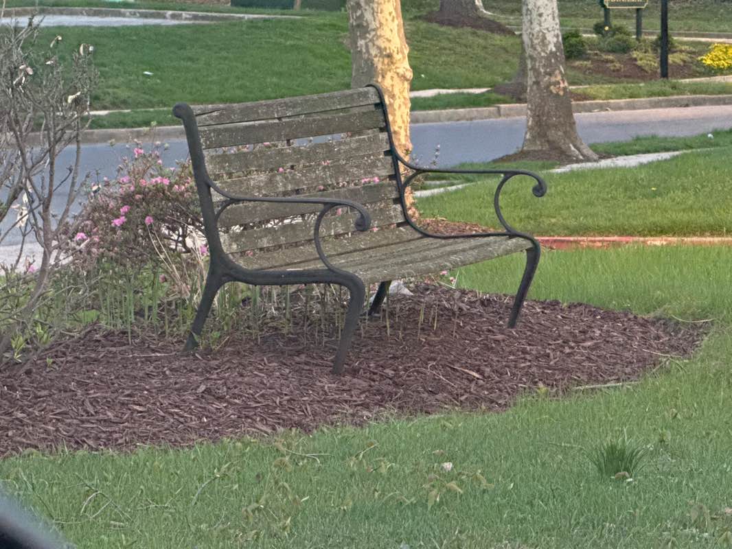 walking near me in Huntington Park in spring