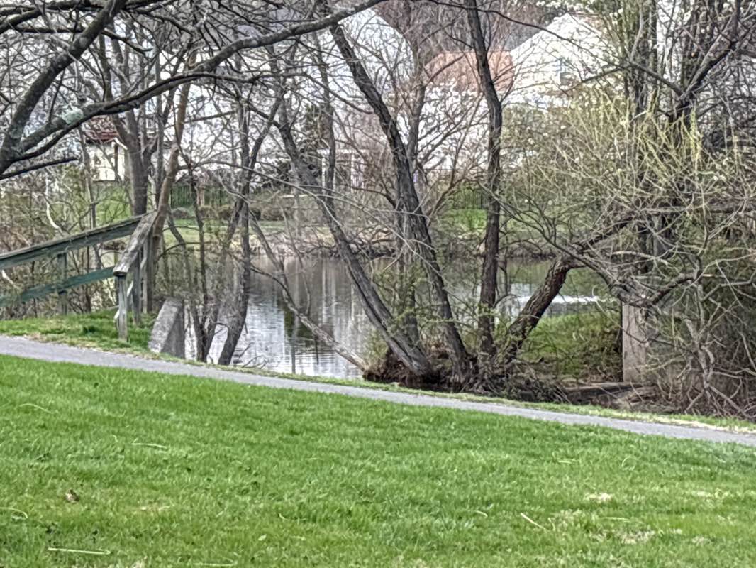 walking near me in Sewell's Orchard Park in spring