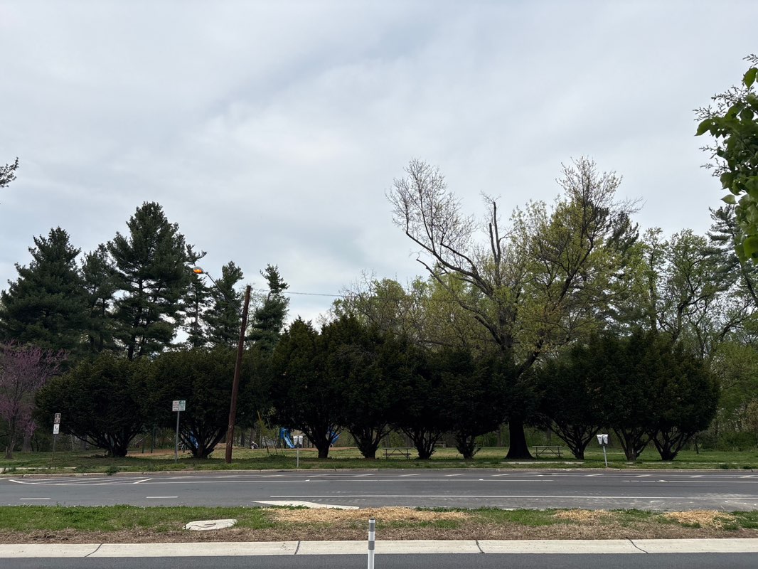 walking near me in Fairview Park in spring