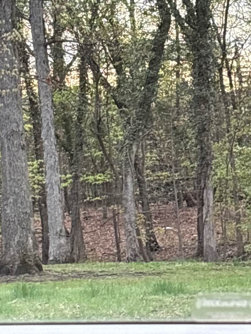 walking near me in Michael J Polley Neighborhood Park in spring