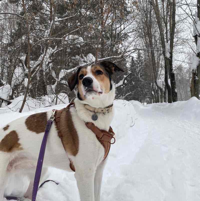 Обожаю Казань❤ аполлинария post image