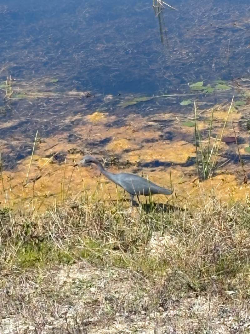 walking near me in Trail Head Park in winter