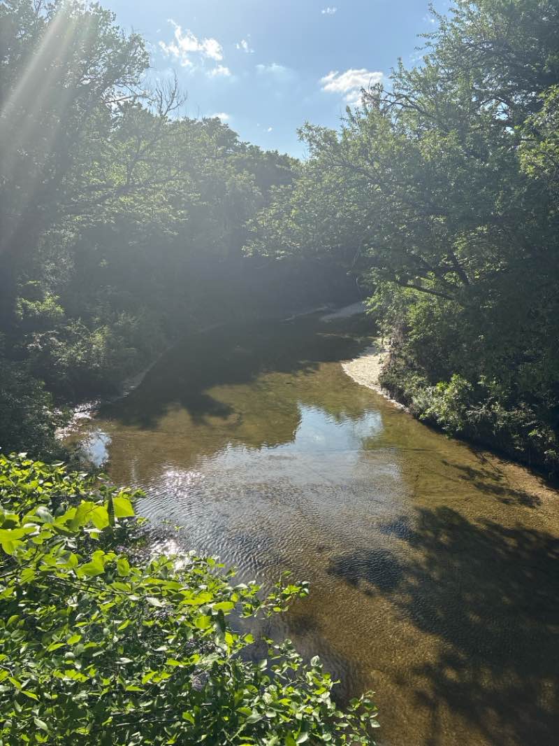 walking near me in Foxboro Park in spring