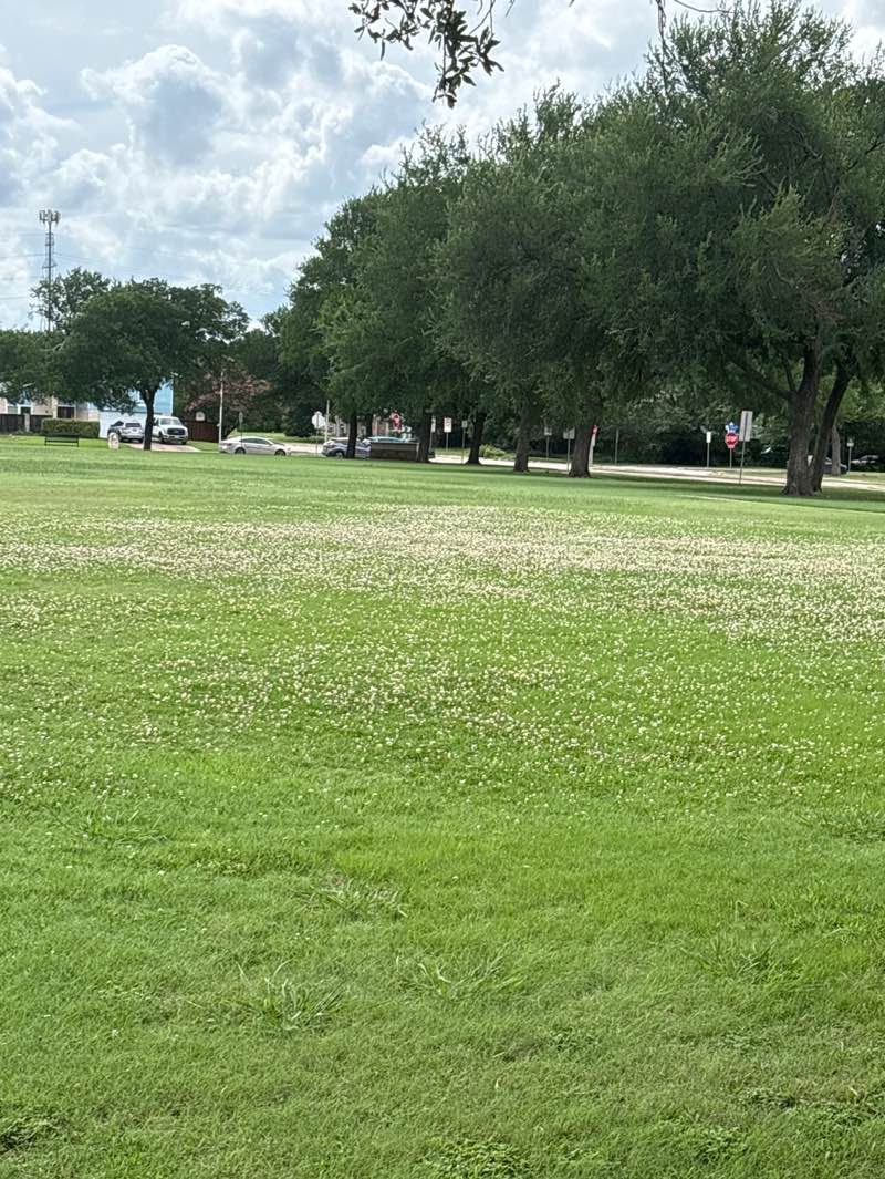 walking near me in Yale Park in summer