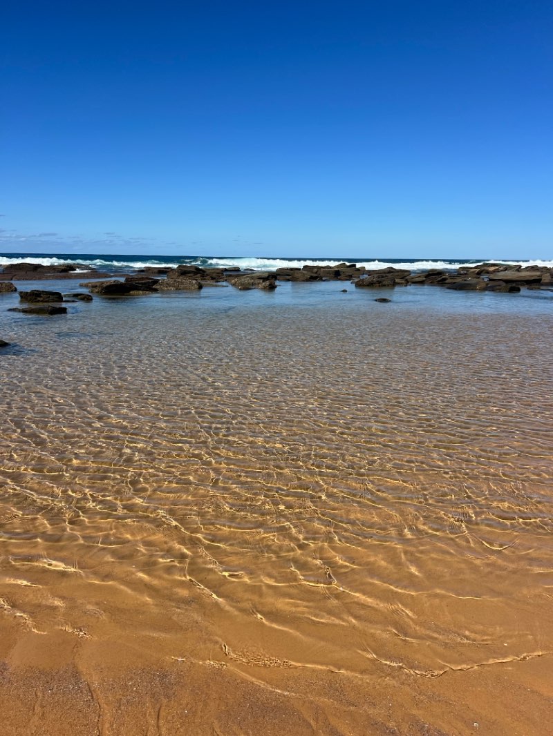 walking near me in Wamberal Lagoon Nature Reserve in autumn