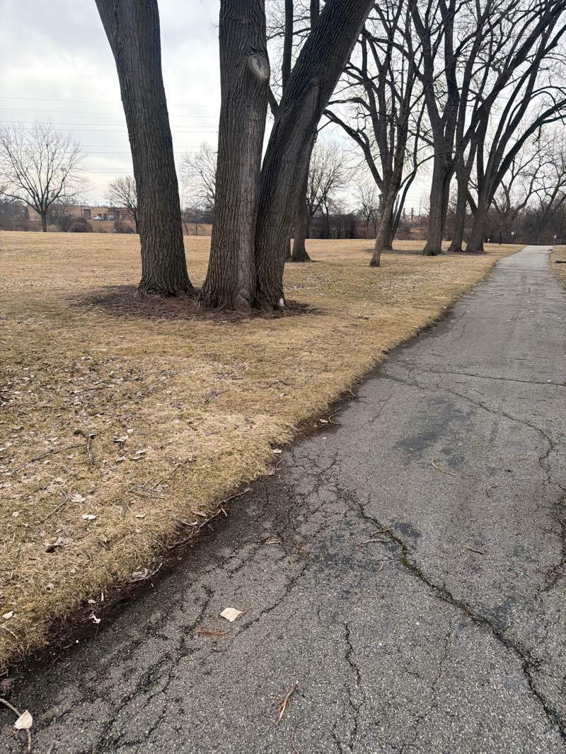 walking near me in Prairie Ball Diamonds in winter