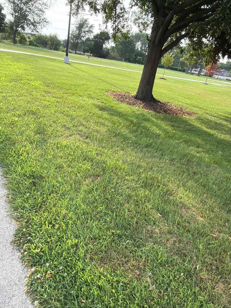 walking near me in Prairie Ball Diamonds in summer
