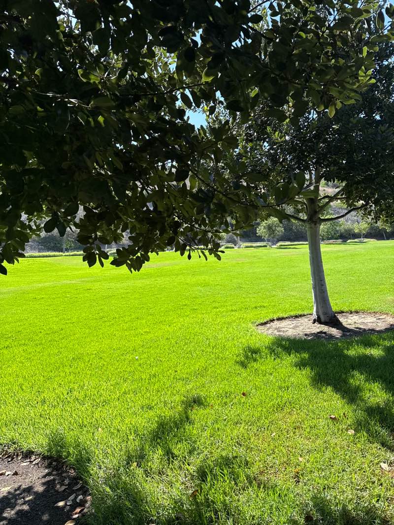 walking near me in La Costa Greens in summer