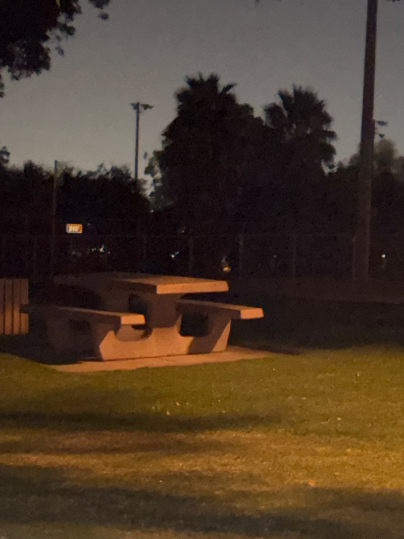 walking near me in William R Bradley Park in summer