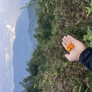 Prakash