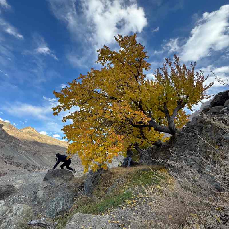 World🌎Super🏆Pacers🤝🏃‍♀️🏃‍♂️ Burhan post image